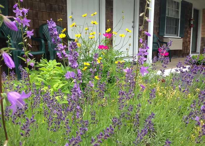 Motel: The Chatham Motel